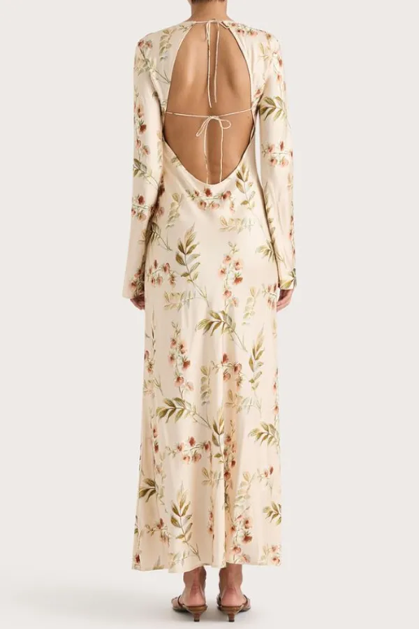 Dresses><noscript><img width=