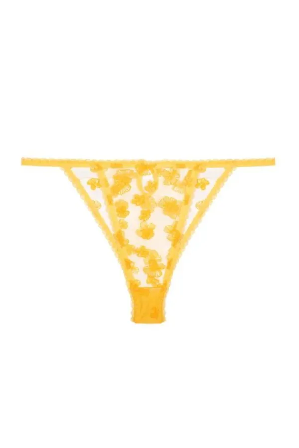 Lingerie><noscript><img width=