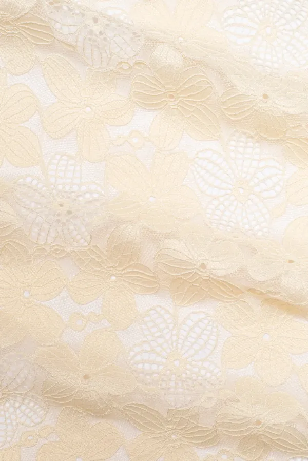 Lingerie><noscript><img width=
