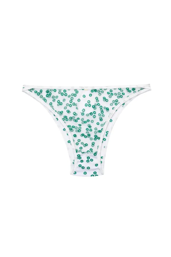 Lingerie><noscript><img width=