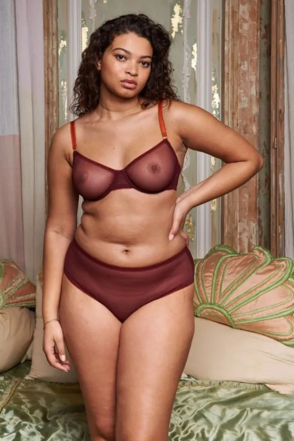 Lingerie>Dora Larsen Rumi Clean Tulle High Waist Knicker | Mahogany